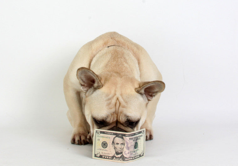 Purchase